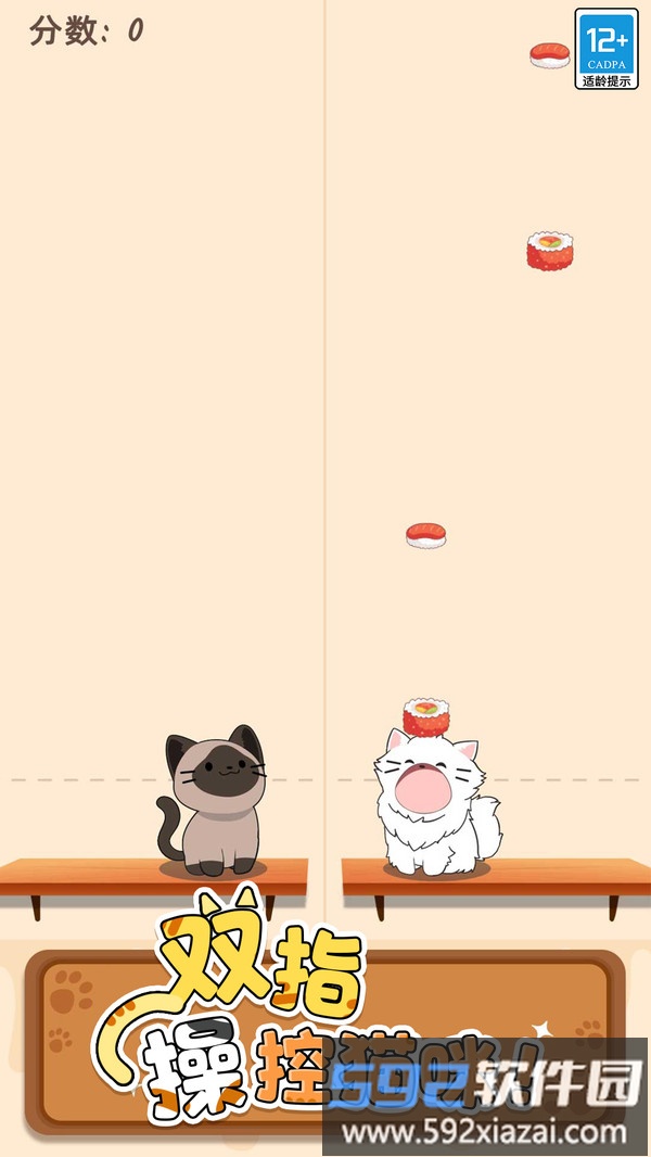 守护小猫截图3
