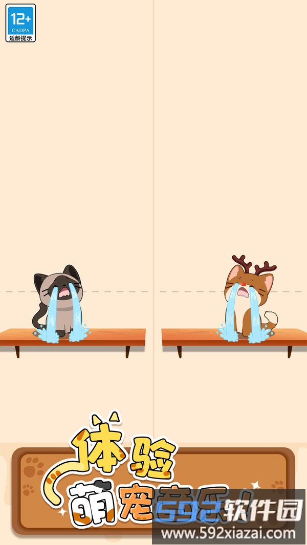 守护小猫截图4