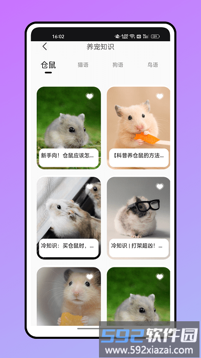仓鼠翻译器app截图3