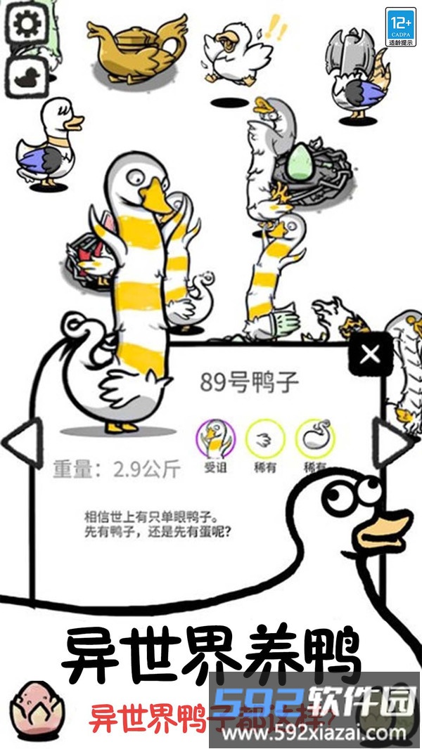 奇怪萌宠