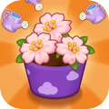 消消消花园