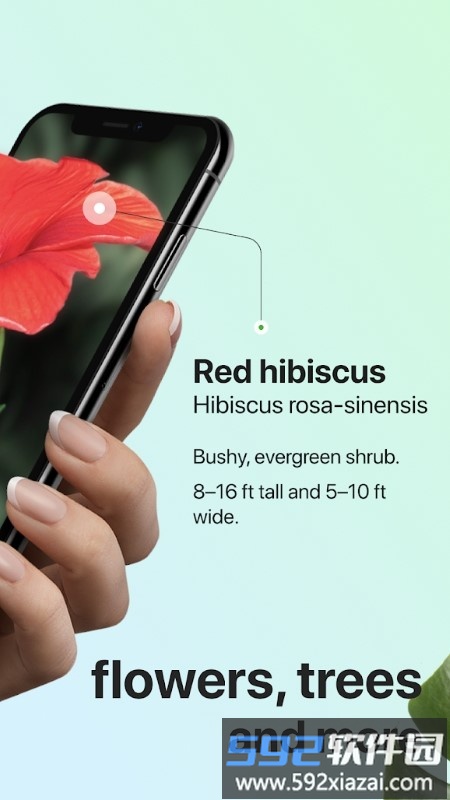 picturethis app(植物识别软件)截图2