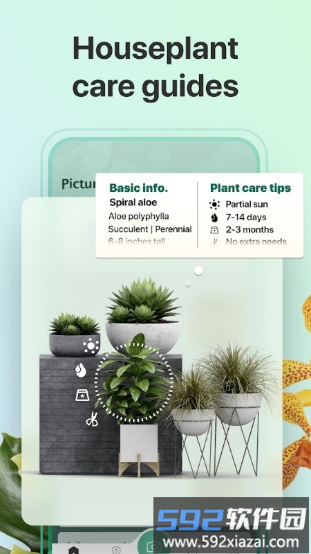 picturethis app(植物识别软件)截图4