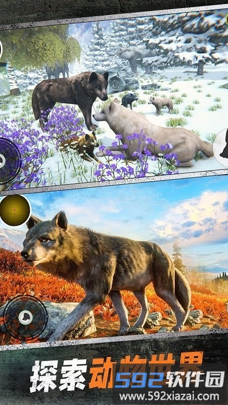 野狼模拟3d北极狼猎杀游戏截图2
