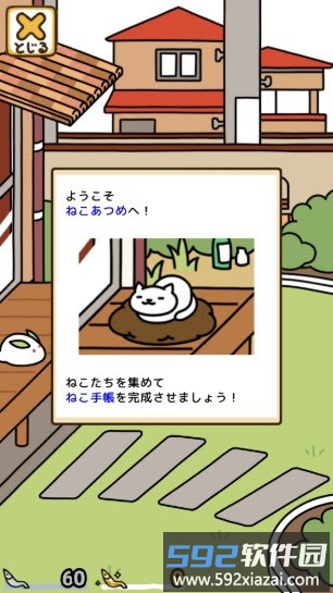 猫咪互动示意