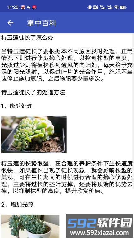 掌中百科app截图4