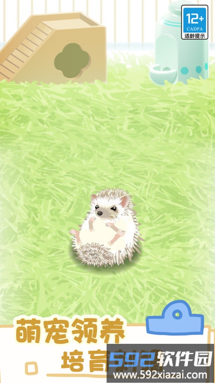 小小宠物