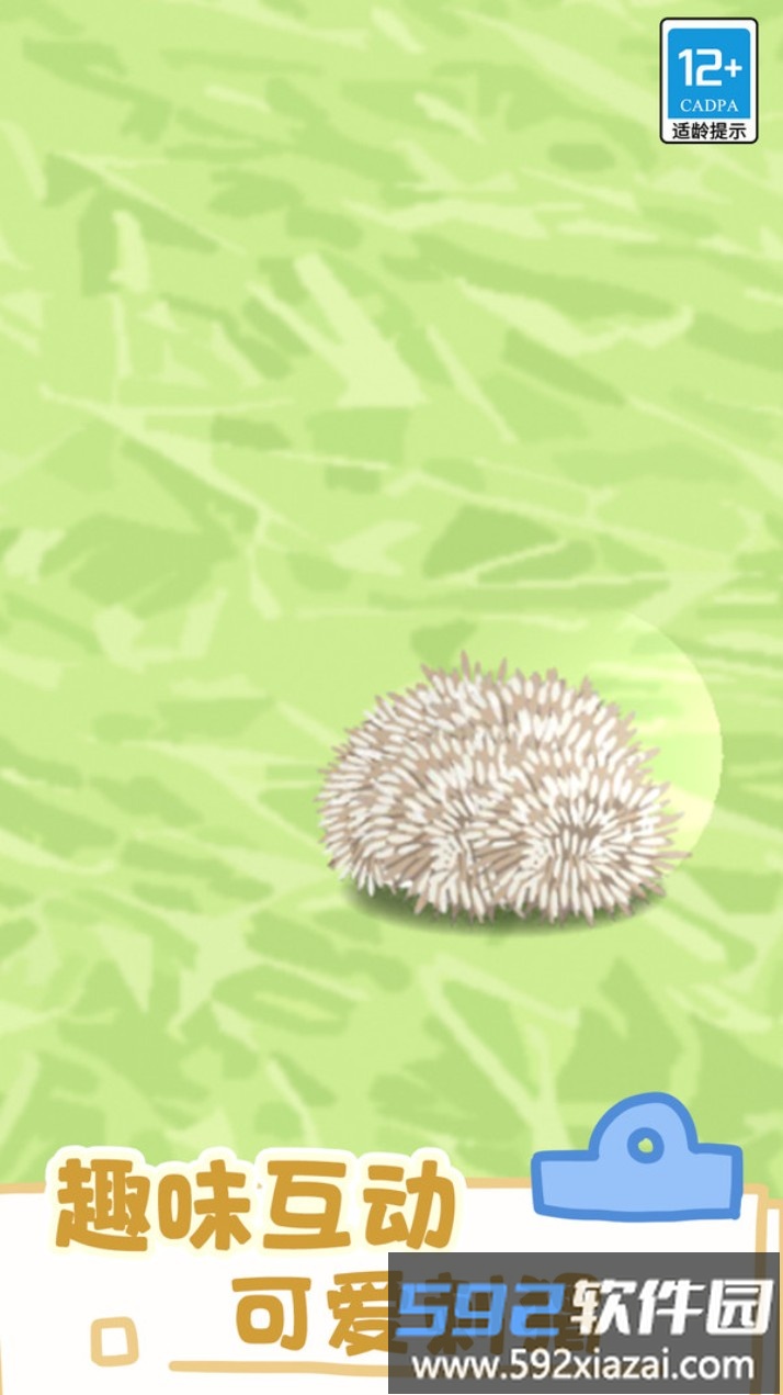 小小宠物