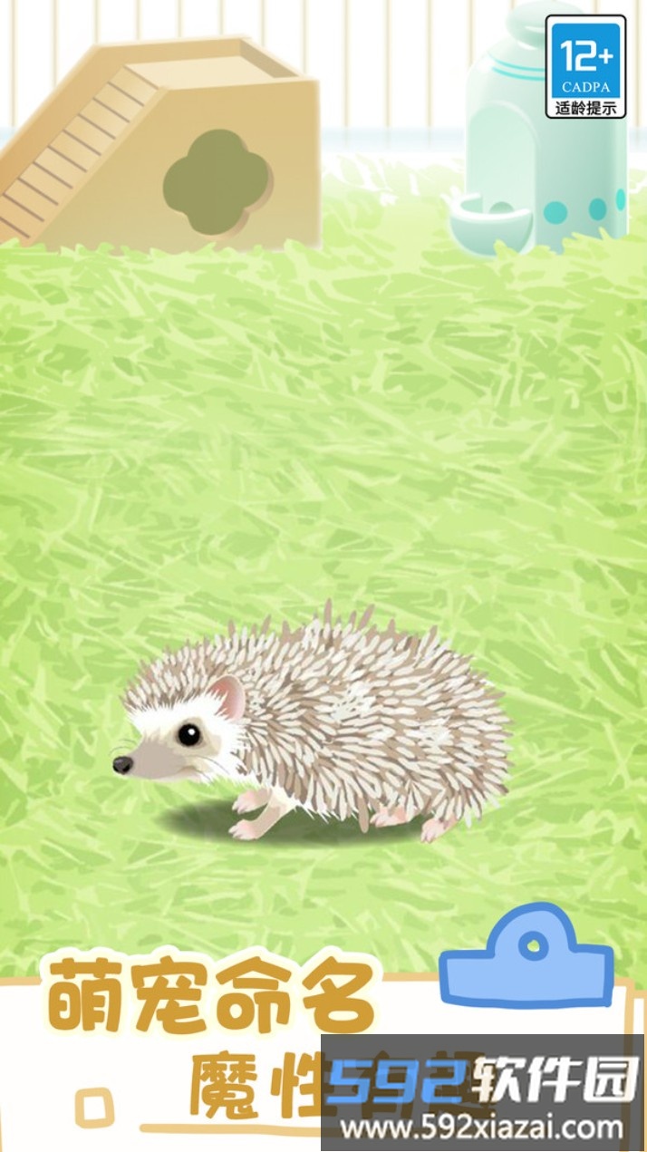 小小宠物