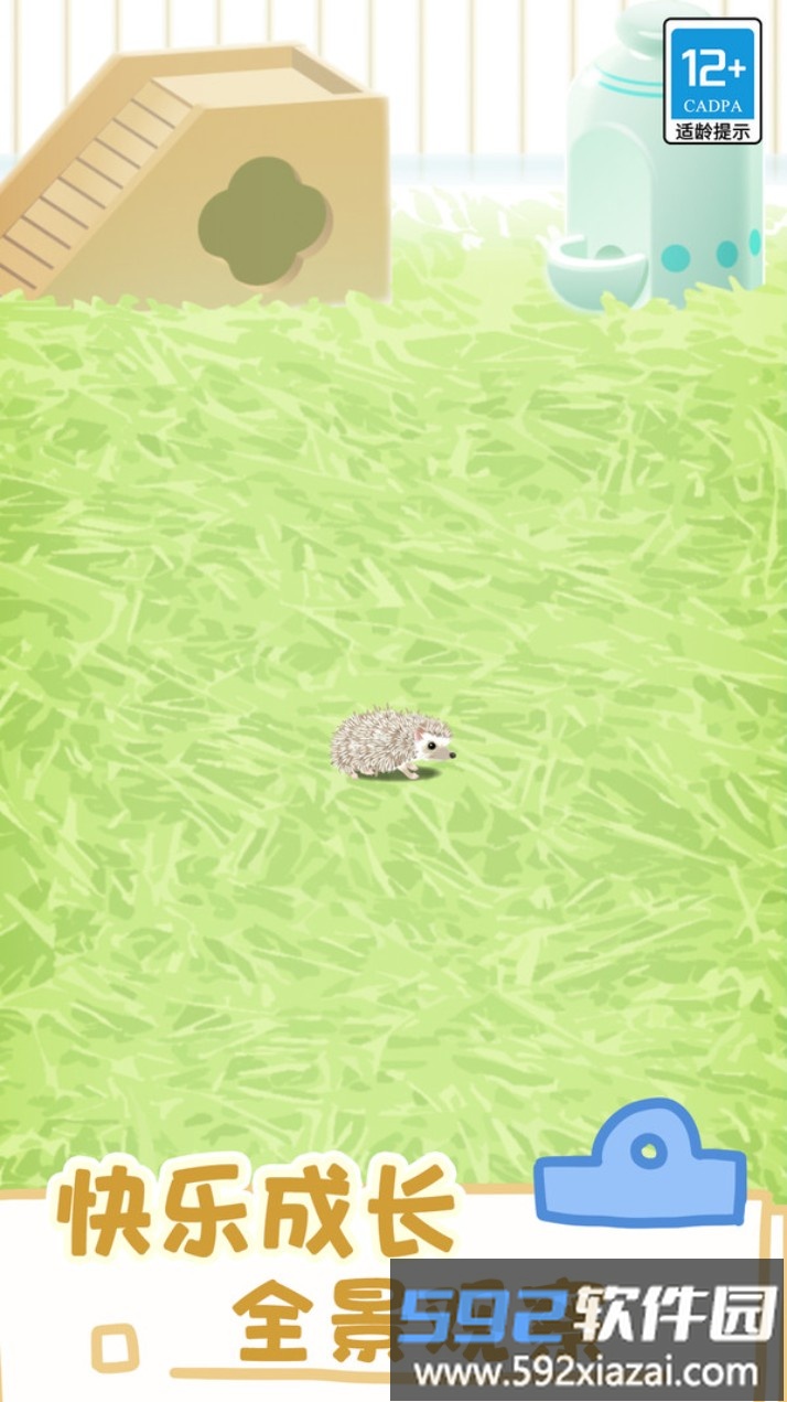 小小宠物
