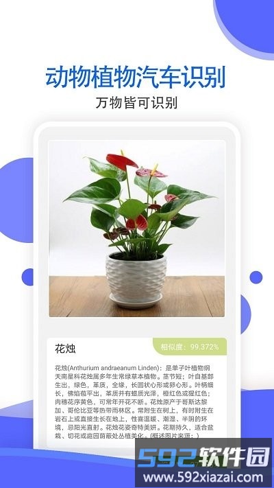 万能拍照识别免费版软件截图3