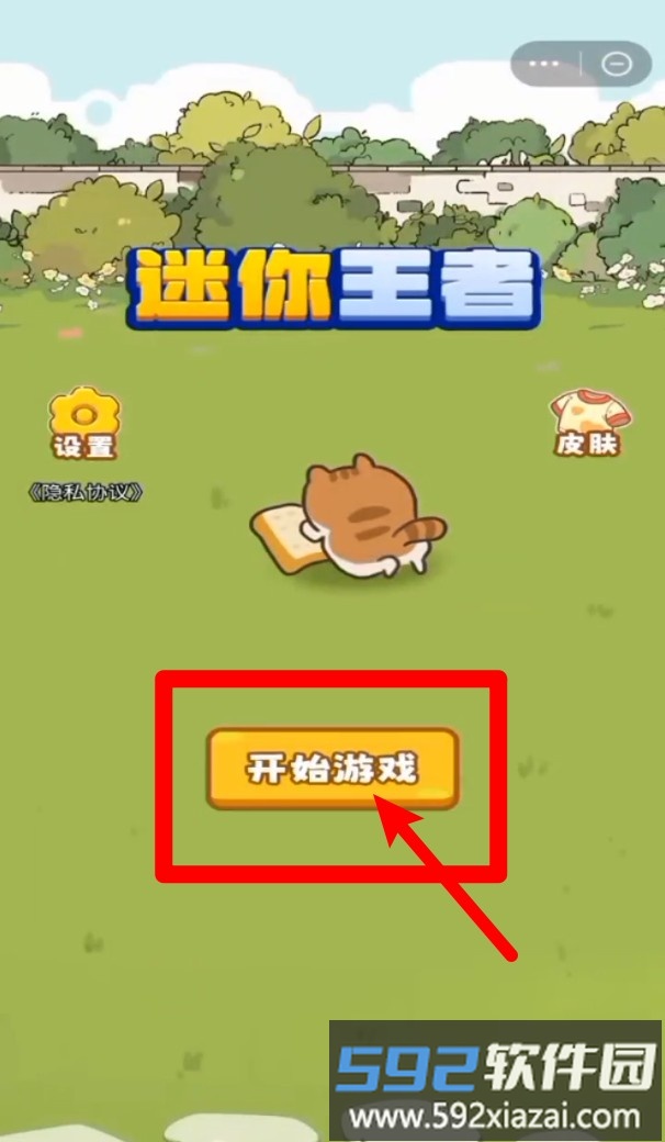 迷你王者