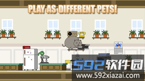 小笨猫手机版截图1