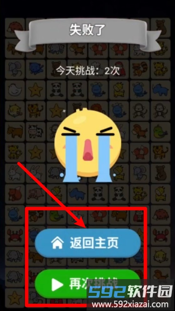 宠物开心连