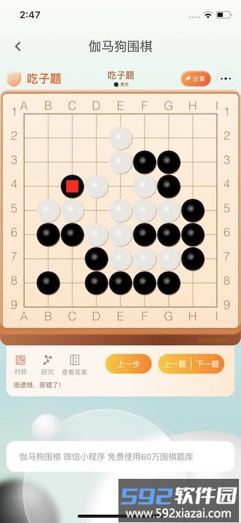 伽马狗围棋最新版截图1
