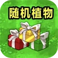 植物僵尸随机版
