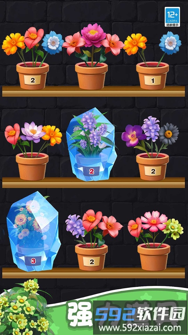 花儿朵朵消