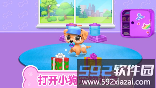 猫咪生活日记