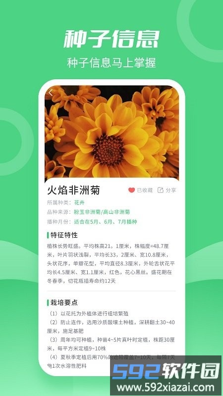 种子大全app截图2