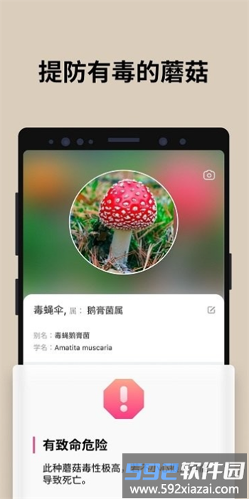 蘑菇识别app官方版截图1