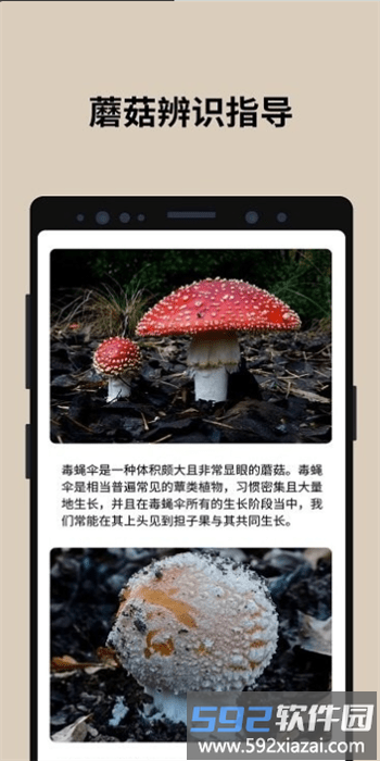 蘑菇识别app官方版截图2