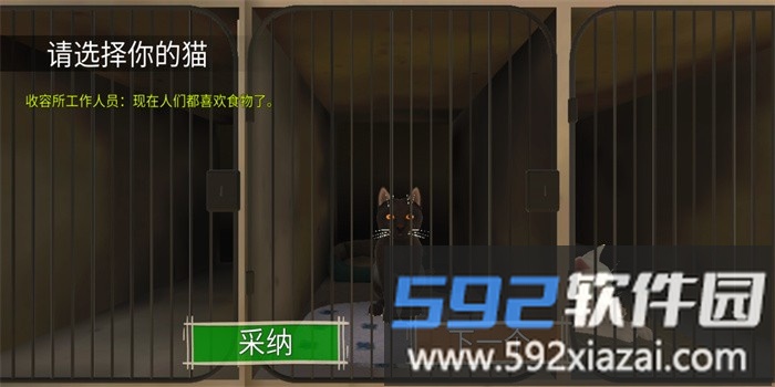 顽皮猫生活模拟截图4