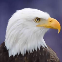 鹰模拟器游戏(Flying Bird Eagle Simulator 3D)