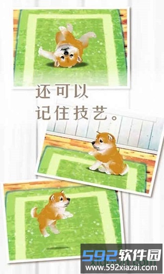 养育柴犬的治愈手游截图1