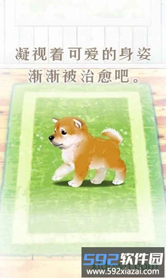 养育柴犬的治愈手游截图4