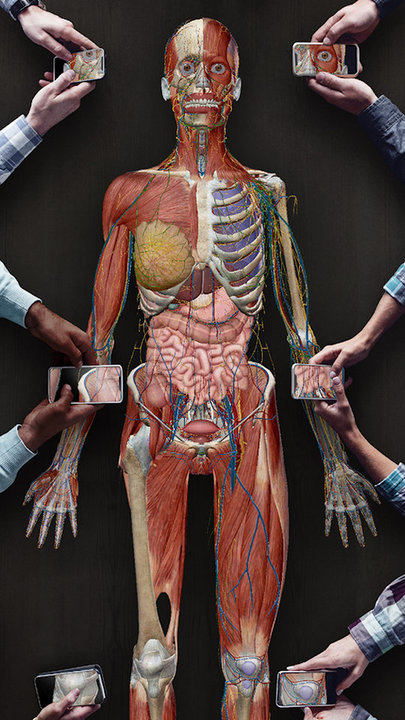 3d人体解剖app截图1