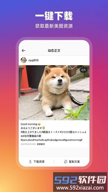 ins订阅器app截图2