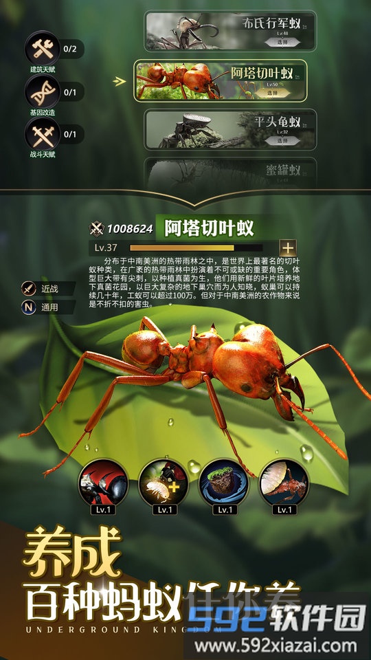 小小蚁国科技攻略最新版截图1