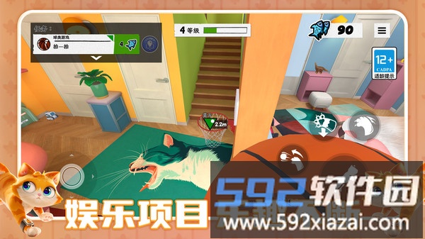 喵桑向前进