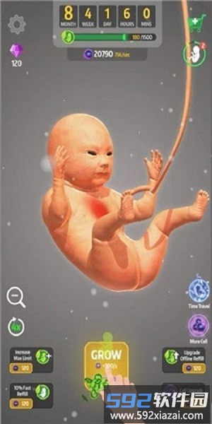 九个月体验入口