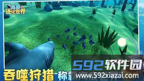 海底进化世界最新版截图4