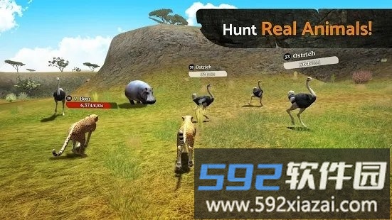 the cheetah手游截图1