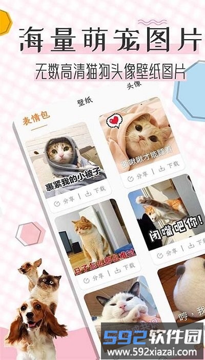 猫语翻译宝软件截图1