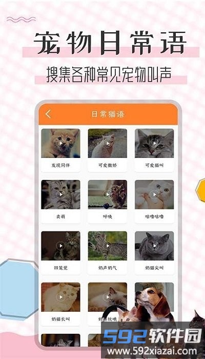 猫语翻译宝软件截图2