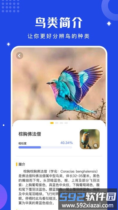 鸟语语言翻译器手机版(改名鸟语翻译器)截图3