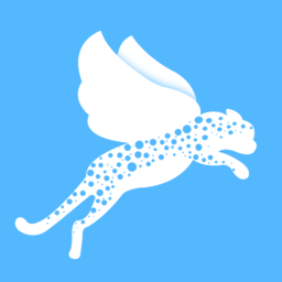 飞小豹约车app
