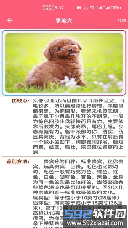 宠物宝宝大全app截图3