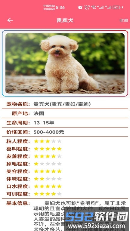 宠物宝宝大全app截图5
