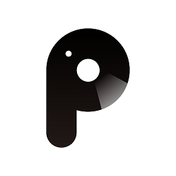 p2 pro官方版