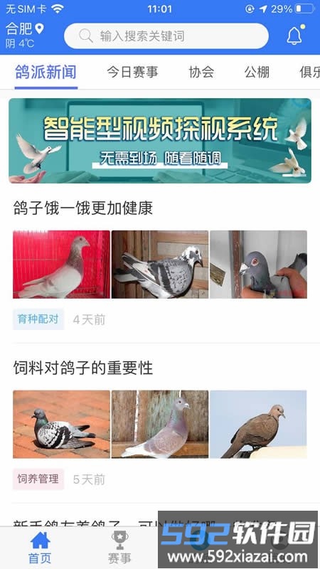 鸽派app最新版截图1