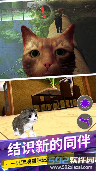 猫咪城市模拟手机版截图3
