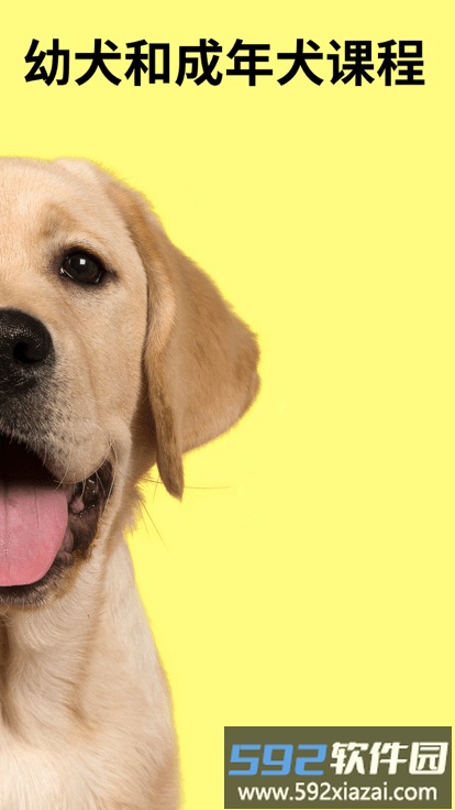 everydoggy app截图2