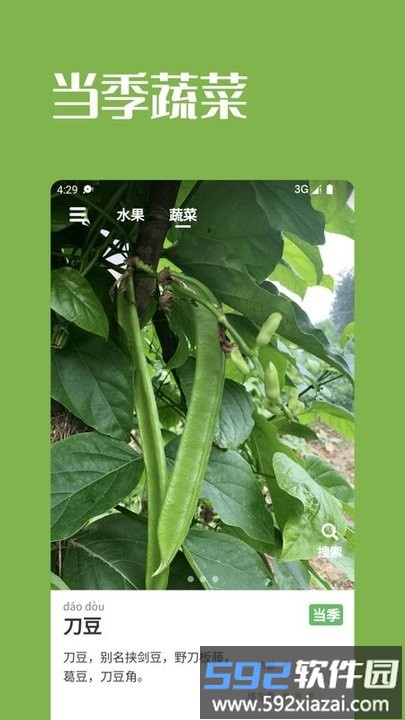 果蔬时节手机版截图1