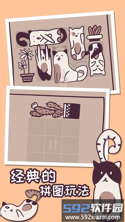 我的小猫贼好看手机版截图2