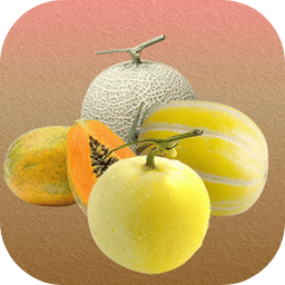 消了个瓜最新版 消了个瓜最新版