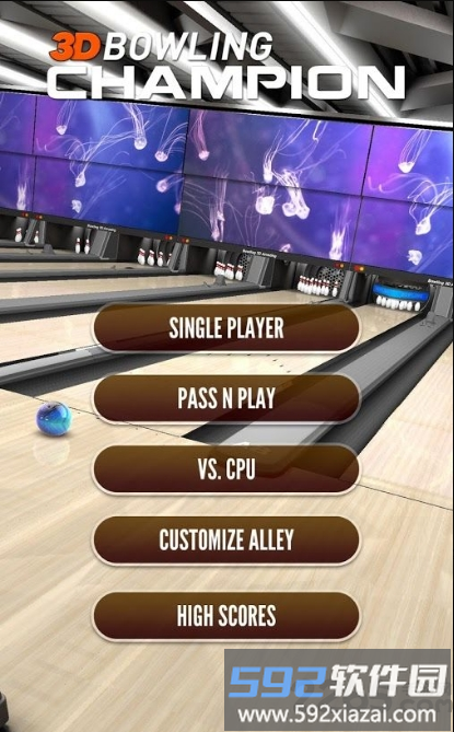 3d保龄球冠军手机版截图2
